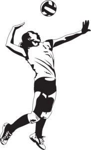 Logo: Siatkówka